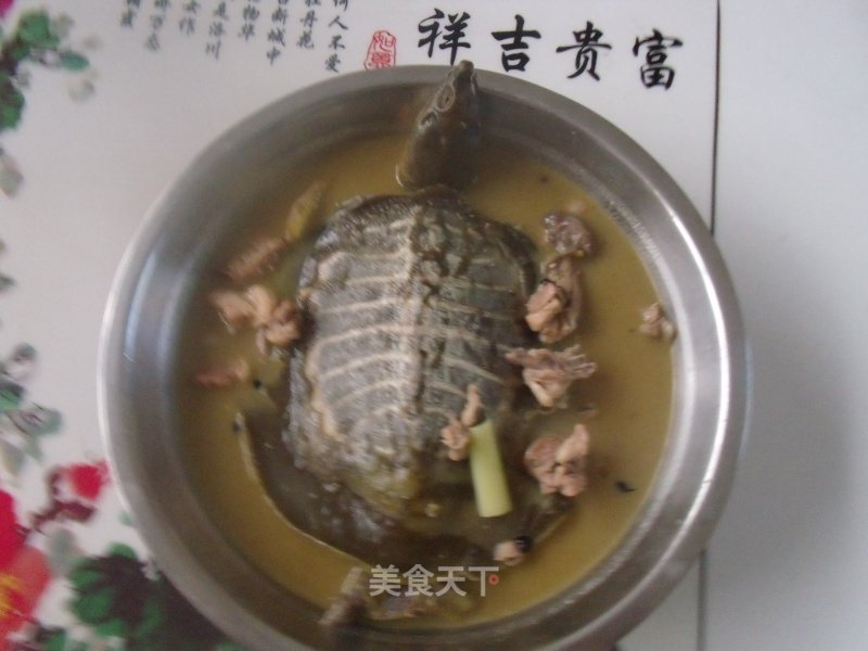 Turtle Chicken Soup recipe