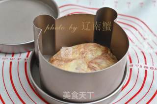 Cute Bear Bread recipe