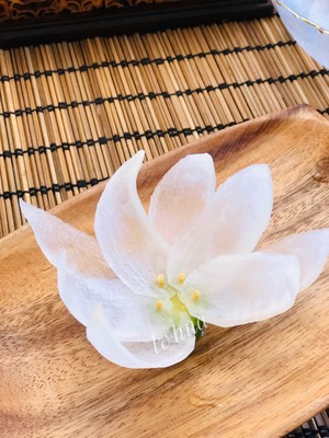 Make A White Lotus and Use Radish~ recipe