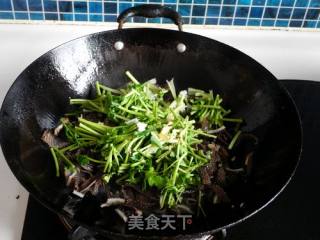 Coriander Fried Hairy Belly recipe