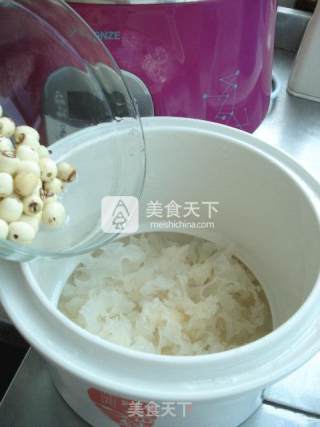 [tonze Microcomputer Water-proof Electric Cooker] Rock Sugar, White Fungus and Lotus Seed Soup recipe