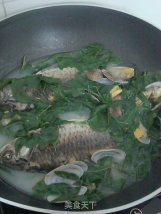 Crucian Carp, Clam, Wolfberry Leaf Soup recipe