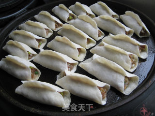 Pork and Scallion Pot Stickers recipe