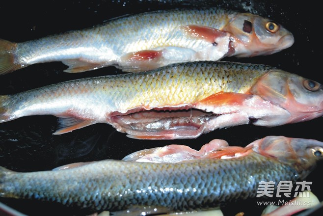 Braised Chinese Fish recipe