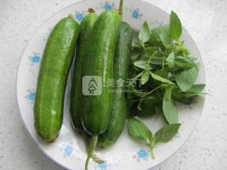 Nepeta Mixed with Cucumber recipe