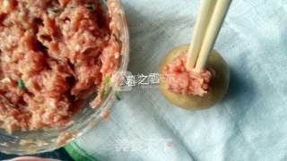 Gluten-wrapped Meat with Sauce recipe