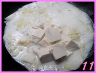 Tofu Soup with Milk Sauce, Cabbage and Shrimp Skin recipe