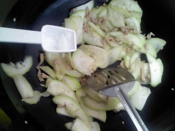 Stir-fried Shredded Pork with Gourd and Melon recipe