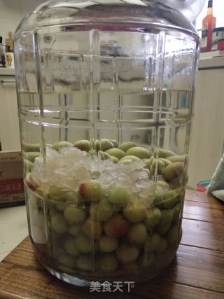 Green Plum Wine recipe