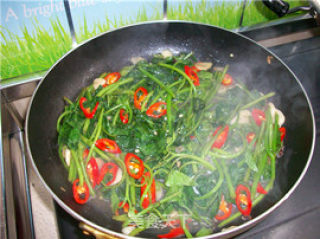 Home Cooking @@长寿菜~~ Stir-fried Sweet Potato Leaves recipe