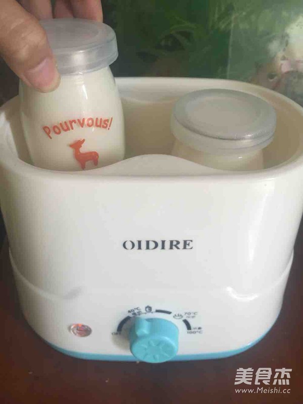 Milk Warmer to Make Yogurt recipe