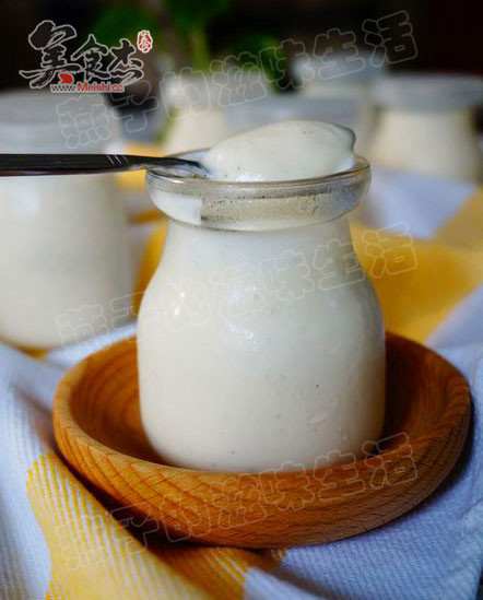 Vanilla Condensed Milk Yogurt recipe