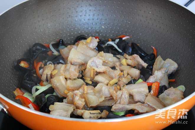 Stir-fried Pork Belly with Spicy Fungus recipe