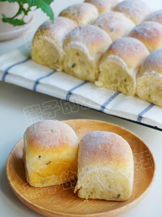 Potato Chives Sour Cream Bread