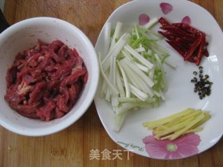 Dried Shredded Beef recipe