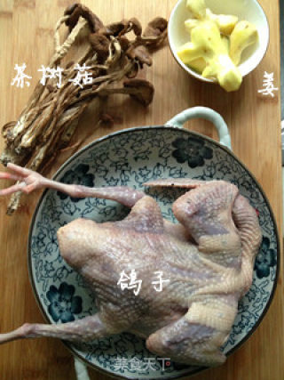 【stewed Pigeon with Tea Tree Mushroom】 recipe