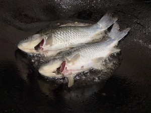 Fresh Fish and Sheep in A Pot (winter Solstice Reunion Banquet·chongqing Mutton Soup Pot) recipe