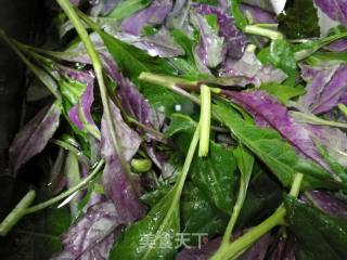 Garlic Purple Squid recipe