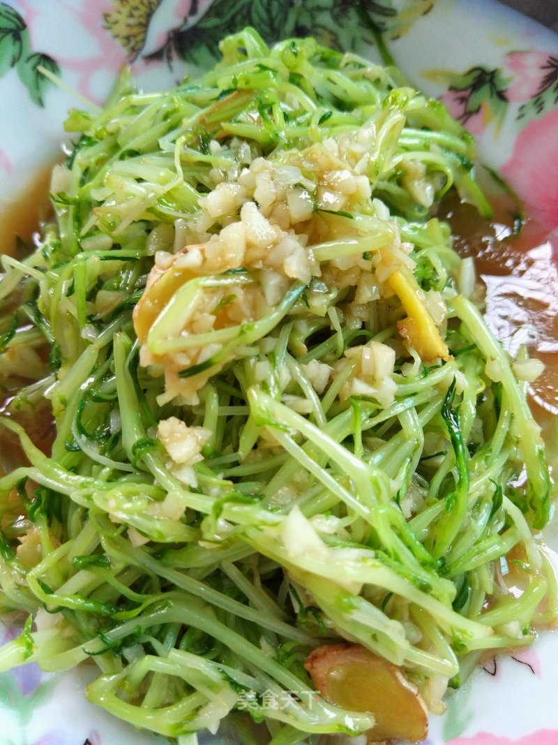 Garlic Pine Willow Buds recipe