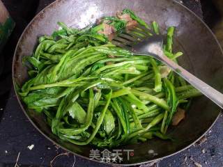 Garlic (slices of Meat) Lettuce recipe