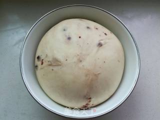 Blueberry Meal Buns recipe