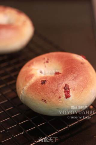 #aca烤明星大赛#cranberry Bagels recipe