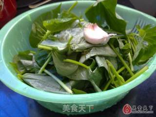 Stir-fried Sweet Potato Leaves with Garlic recipe