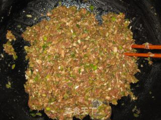 Pork and Green Onion Buns recipe