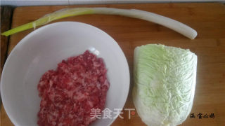 Pork Cabbage Shortbread recipe