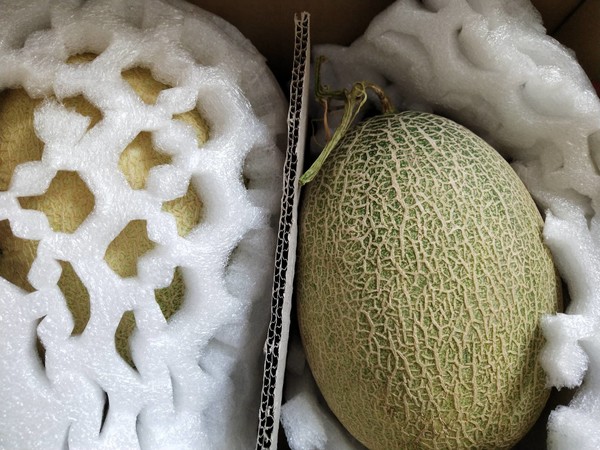 Melon Boat recipe