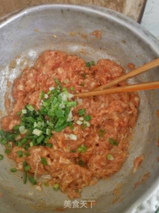 #春食野菜香# Wild Vegetables Stuffed Pastry recipe