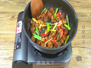 Braised Beef Tendon with Green Garlic recipe