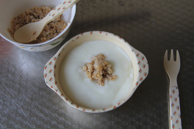 Homemade Yogurt Mixed with Oats recipe