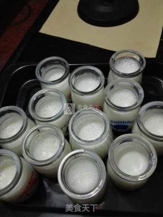 Homemade Old Yogurt recipe