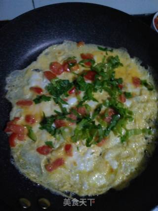 Tomato Omelet recipe