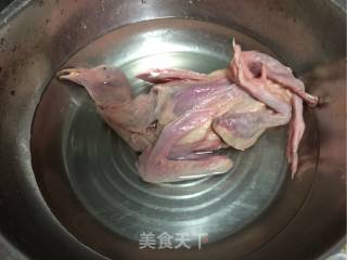 Roasted Pigeon recipe