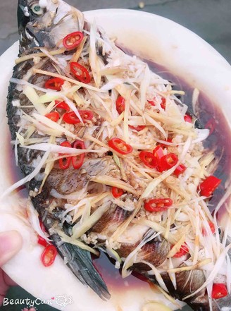 Steamed Wuchang Fish (bream) recipe