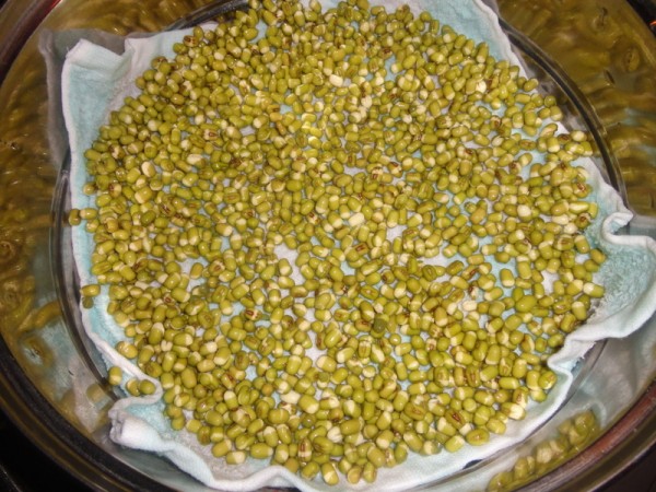 Cold Bean Sprouts recipe