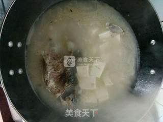 Crucian Tofu Soup recipe