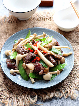 Stir-fried Beef with Blue Bean and Mushroom