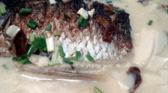 Milky White Crucian Fish Tofu Soup recipe