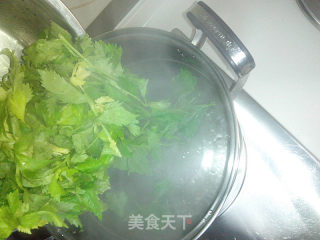 Celery Leaf Salad recipe