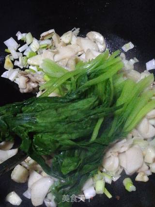 Braised King Pleurotus with Green Vegetables and Tofu recipe
