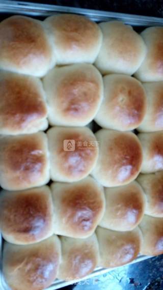 Milk Meal Buns recipe