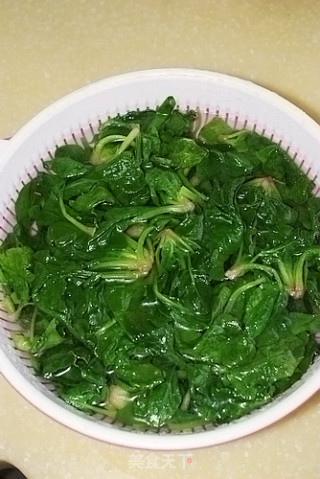 Vermicelli with Spinach and Dried Shrimp recipe