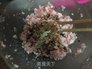 【jiangsu】pork Dumplings recipe