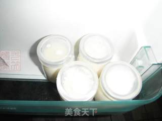 Cranberry Milk Pudding recipe