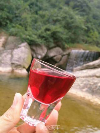 Self-brewed Roselle Honey Wine 30º recipe