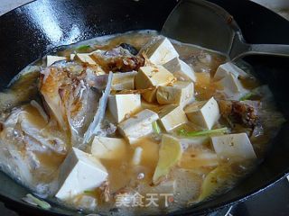 Braised Fish Head Tofu recipe