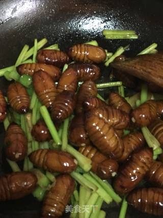 Stir-fried Silkworm Chrysalis recipe